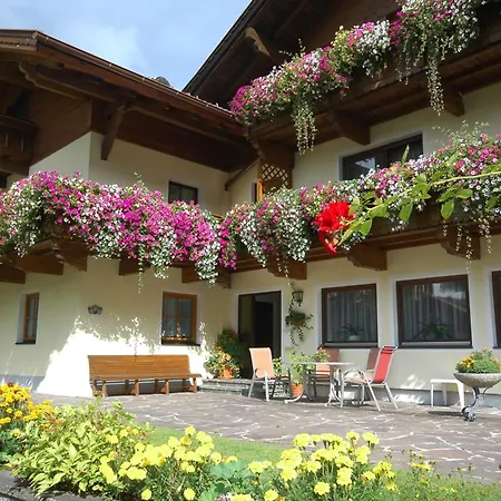 Nigella 4* 노이스티프트임스튀바이탈