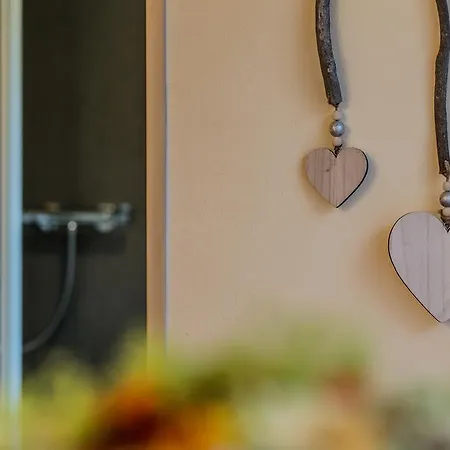 Nigella 노이스티프트임스튀바이탈