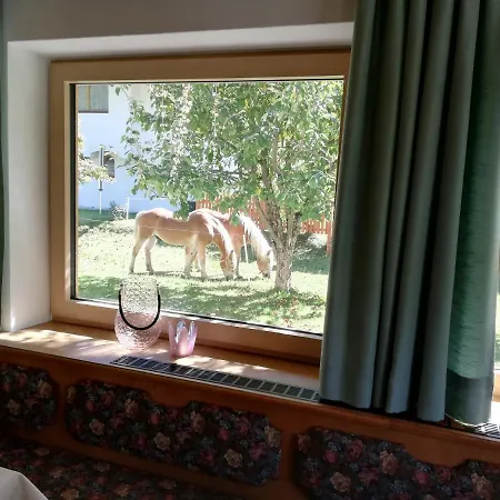 Guest house Nigella 4*